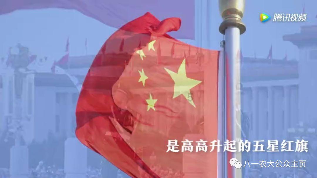 时尚POLO衫
